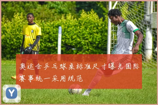 奥运会乒乓球桌标准尺寸曝光国际赛事统一采用规范