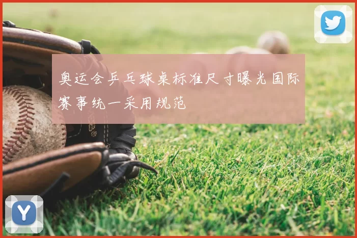 奥运会乒乓球桌标准尺寸曝光国际赛事统一采用规范